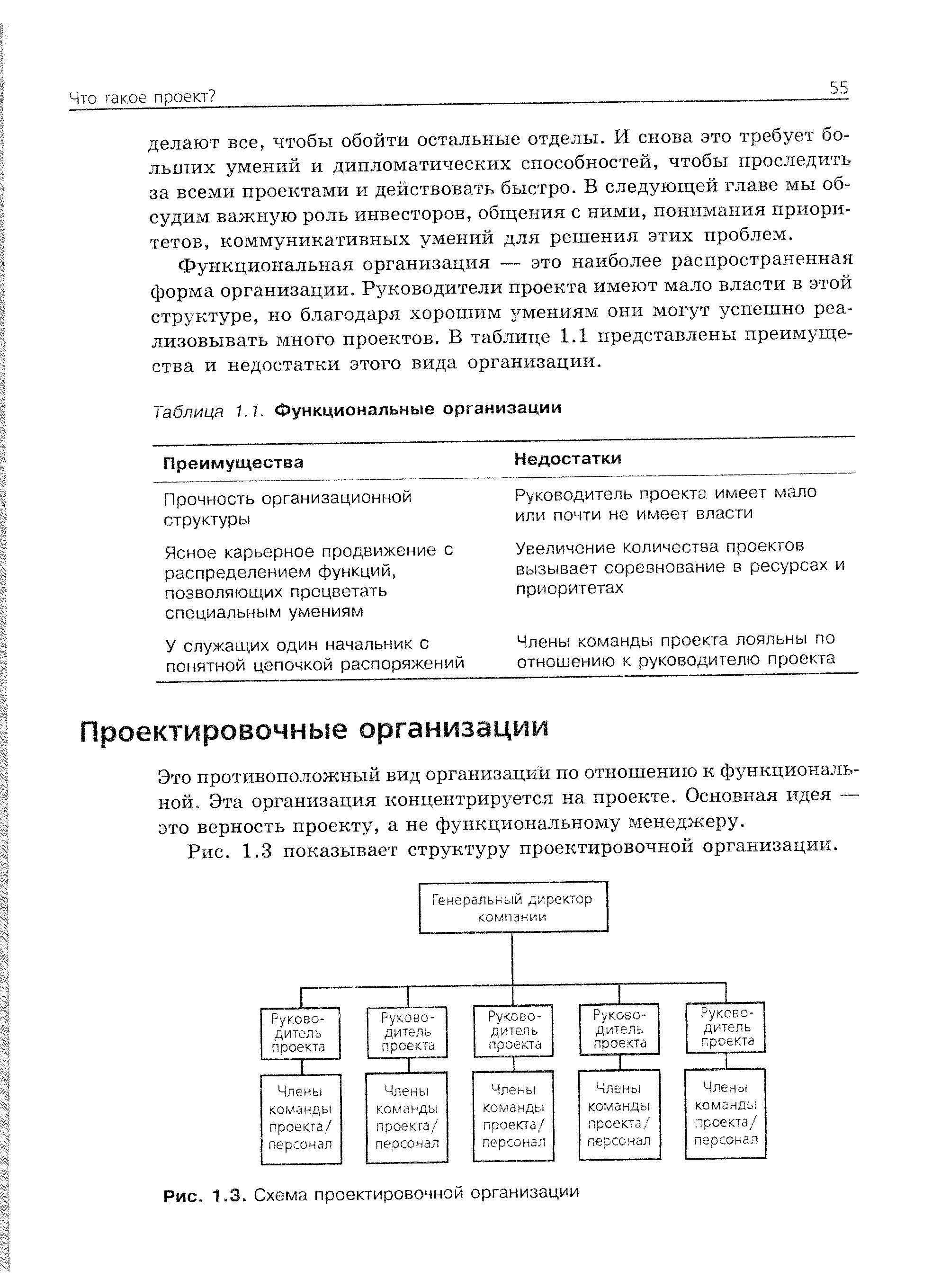 Это противоположный вид организаций по отношению к функциональной. Эта организация концентрируется на проекте. Основная идея — это верность проекту, а не функциональному менеджеру.
